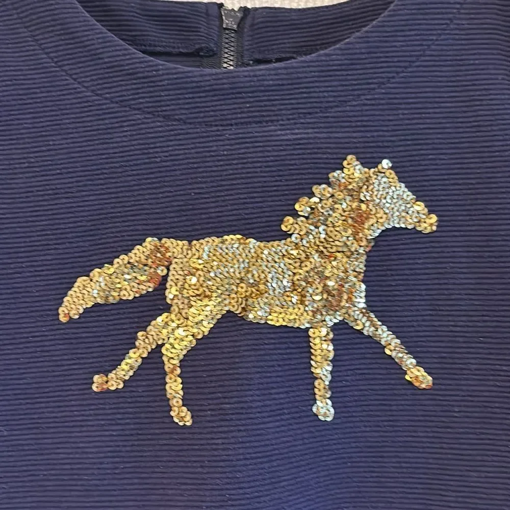 Gymboree Dress, navy with Gold Sequin Horse size 6